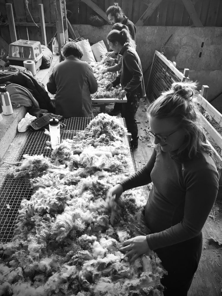 Alice et le mohair 2